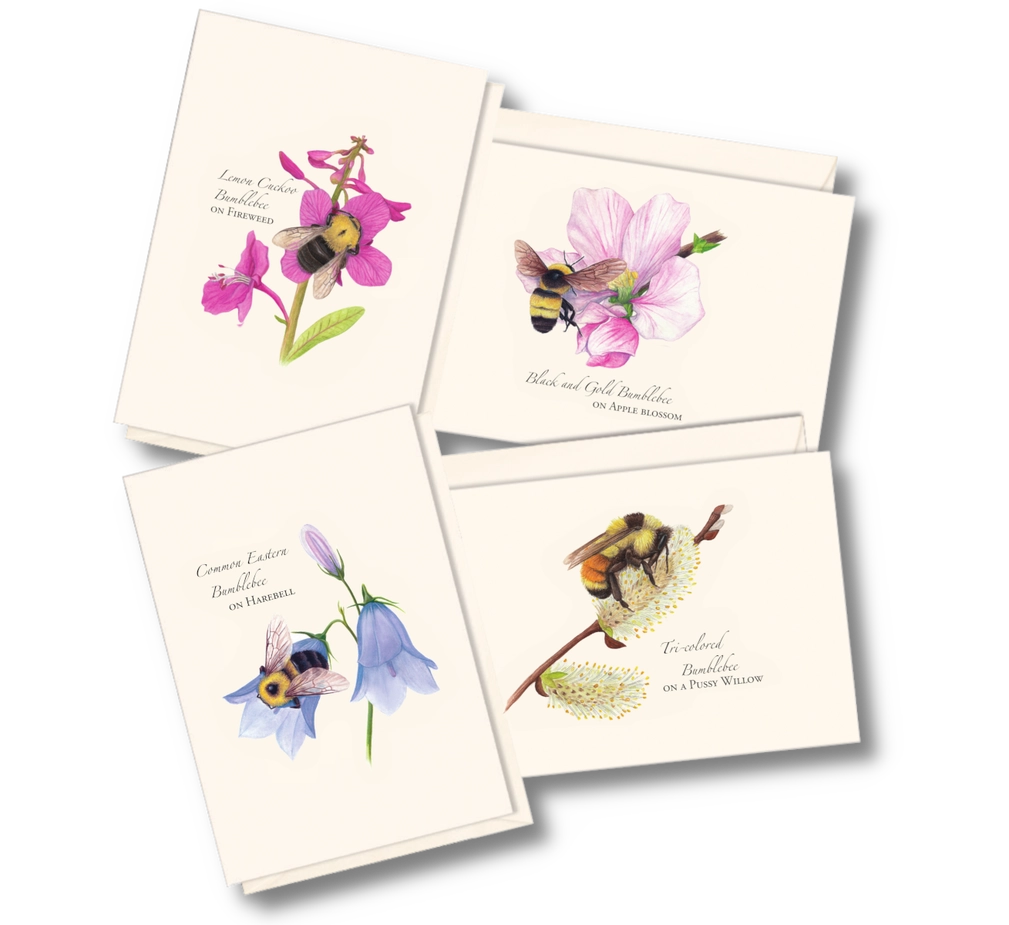 Spring Bee | Assorted 8 Card Set