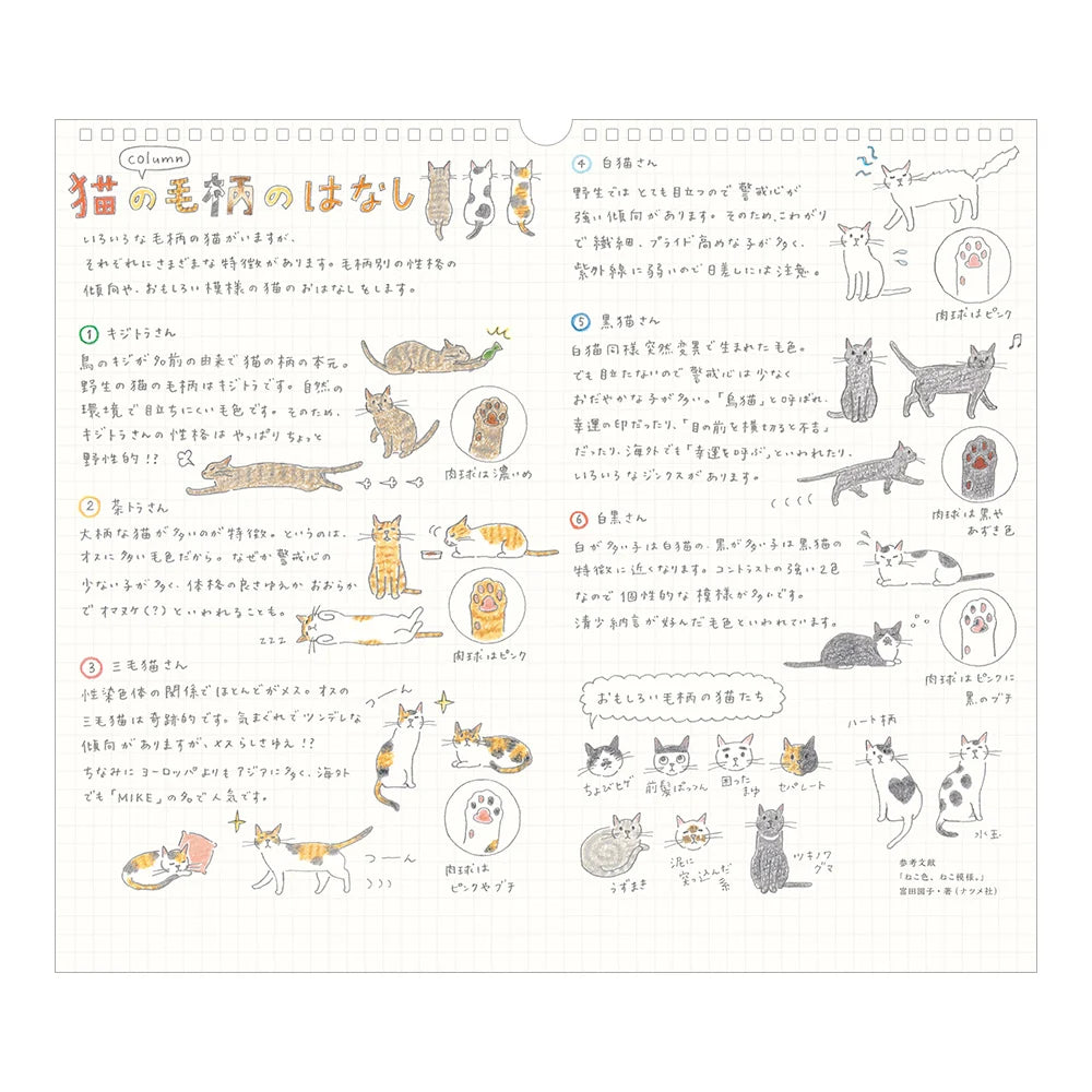 Midori 2027 Wall Calendar | Cat