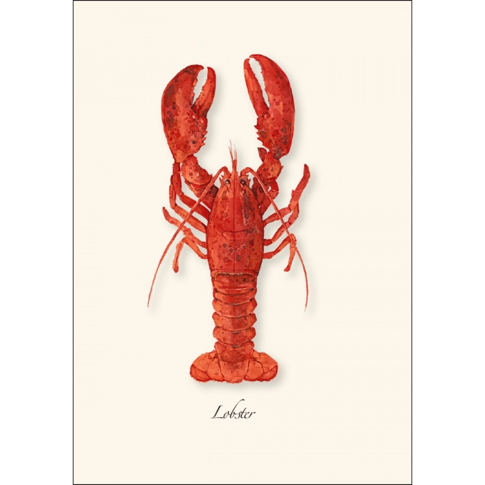 Lobster | Assorted 8 Card Set