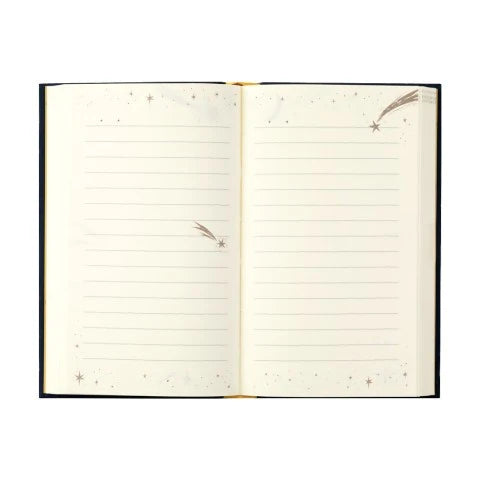 Midori Starry Night One Day One Page Diary