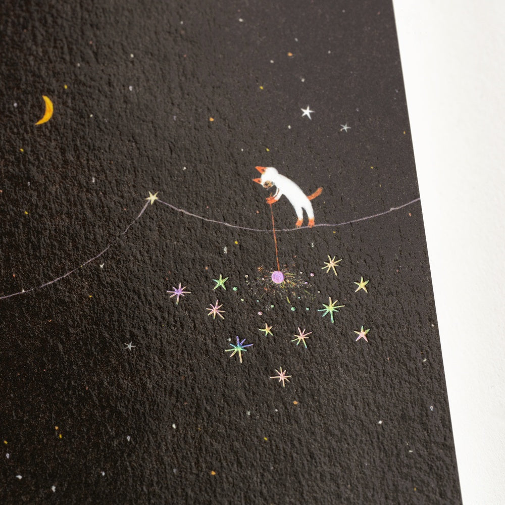 Hobonichi Graph Notebook | Hiroko Kubota: Another night of falling star sparklers