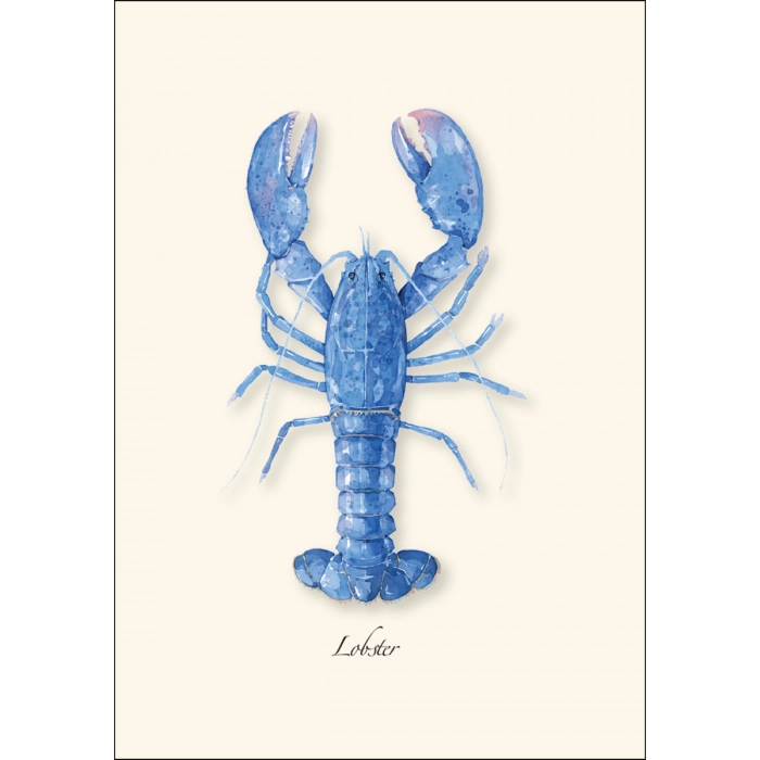 Lobster | Assorted 8 Card Set