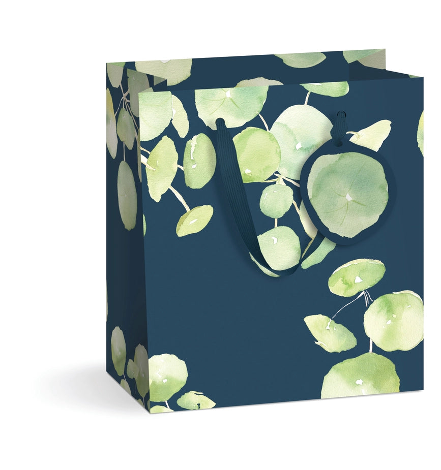 Pilea Plant Gift Bag