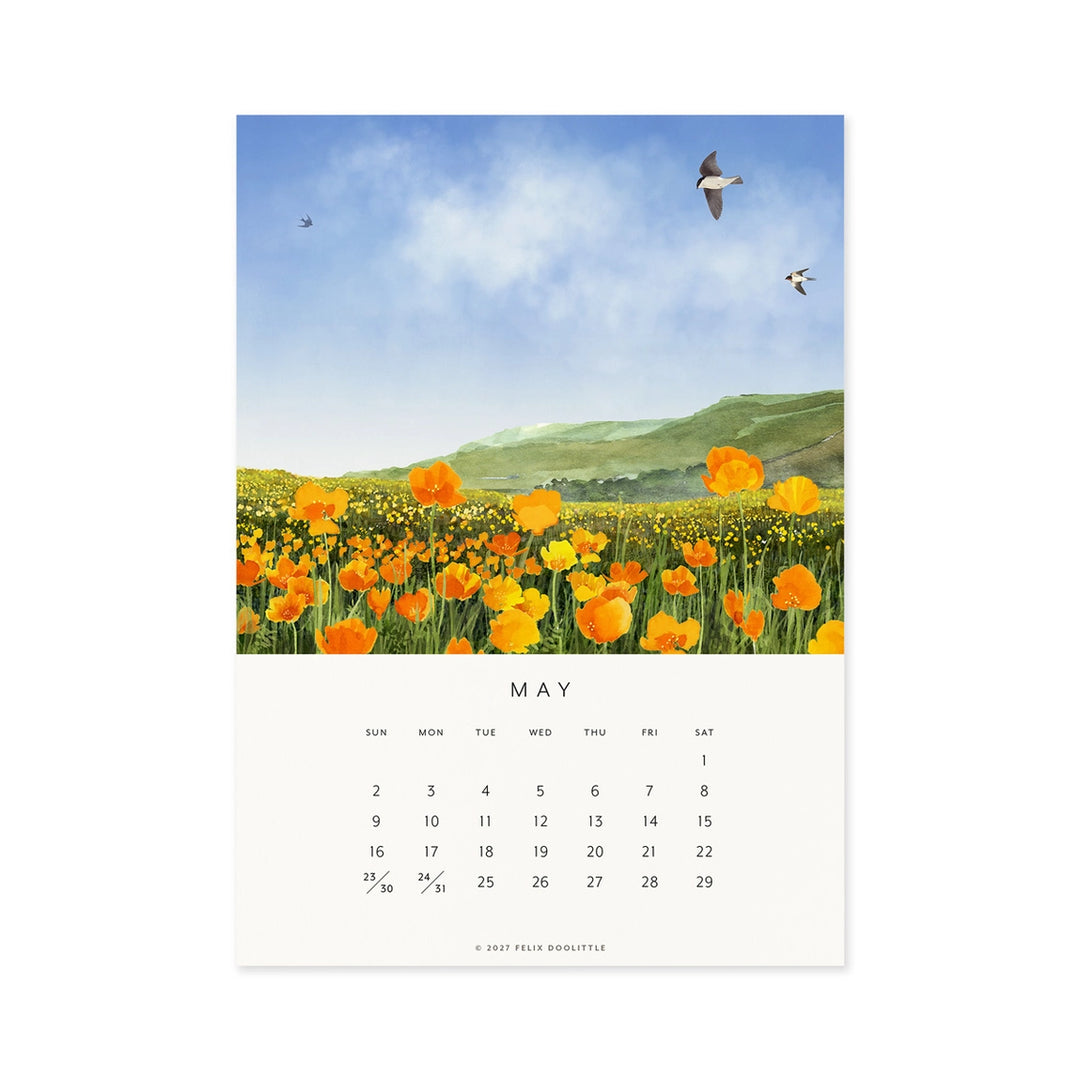 Drawn To Nature | 2027 Desk Calendar
