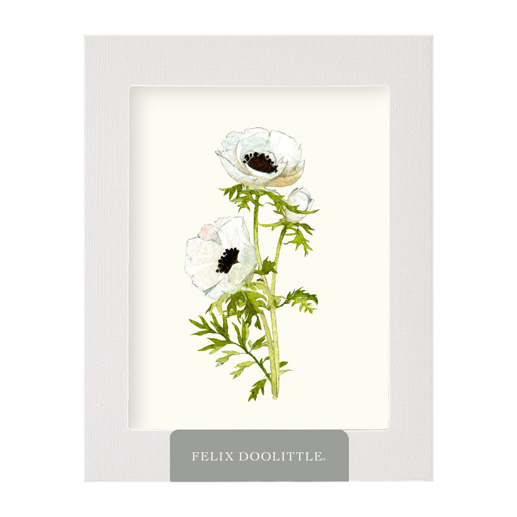 Anemone Blossoms | Greeting Card