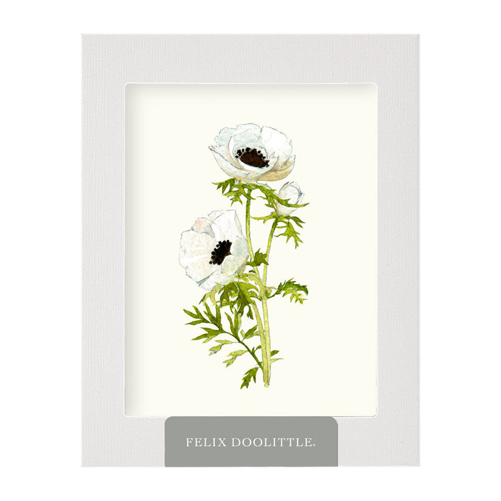 Anemone Blossoms | Greeting Card