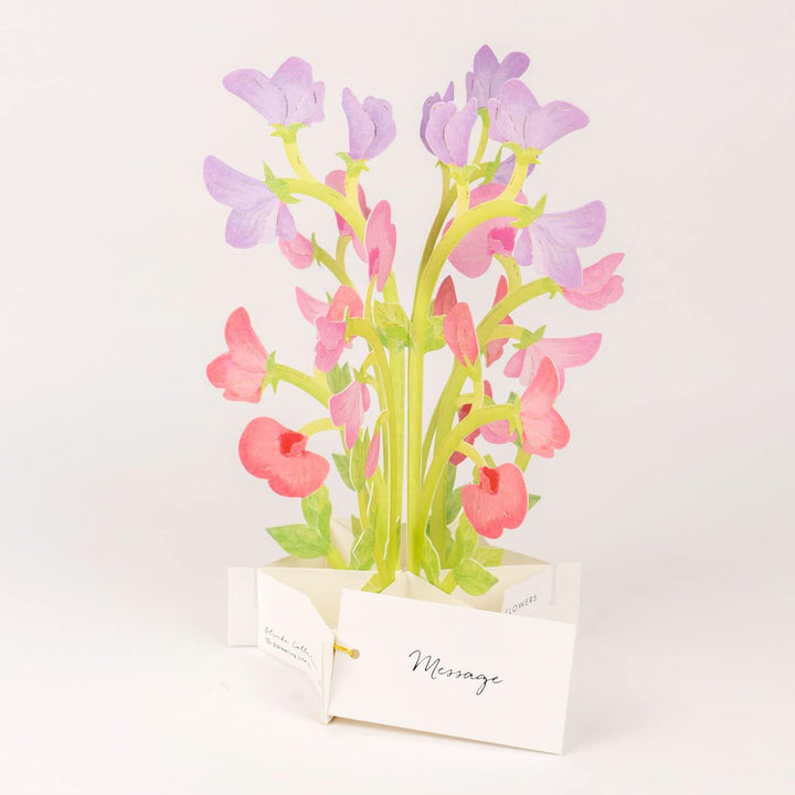 Sweet Pea Flower Blooming Pop-Up Greeting Card