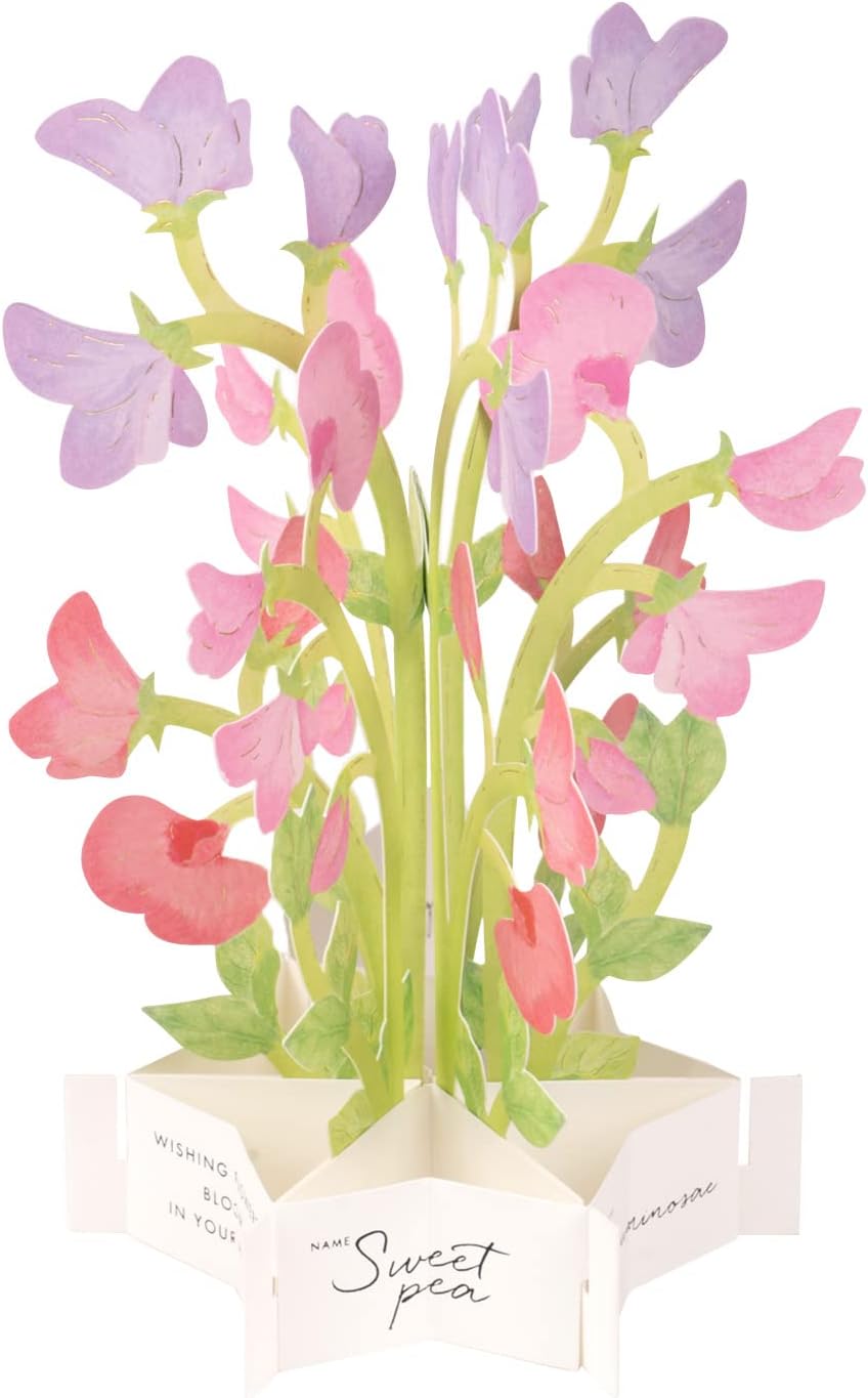 Sweet Pea Flower Blooming Pop-Up Greeting Card