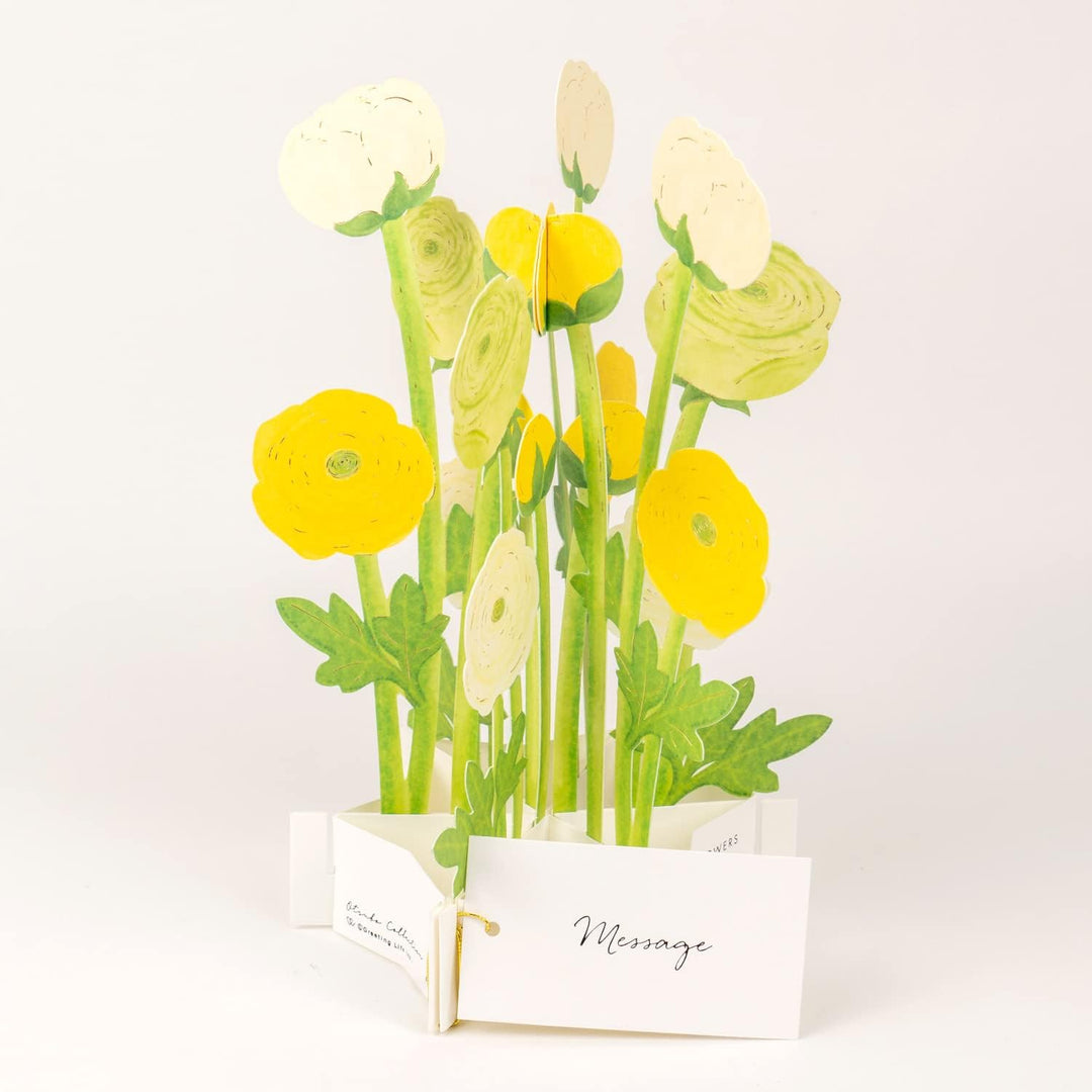 Ranunculus Flower Blooming Pop-Up Greeting Card