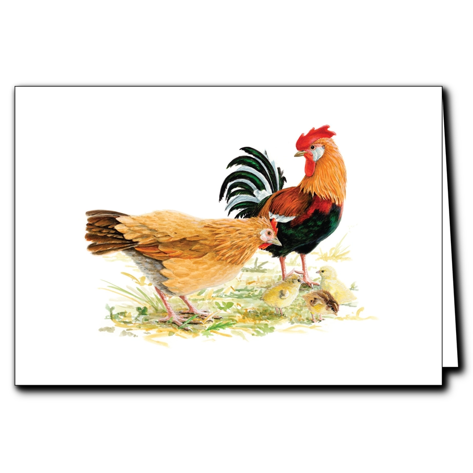 Chickens | Greeting Card