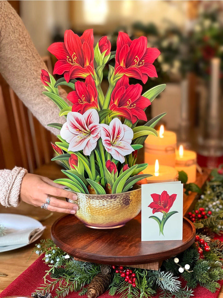 Scarlet Amaryllis Large Pop-Up Card