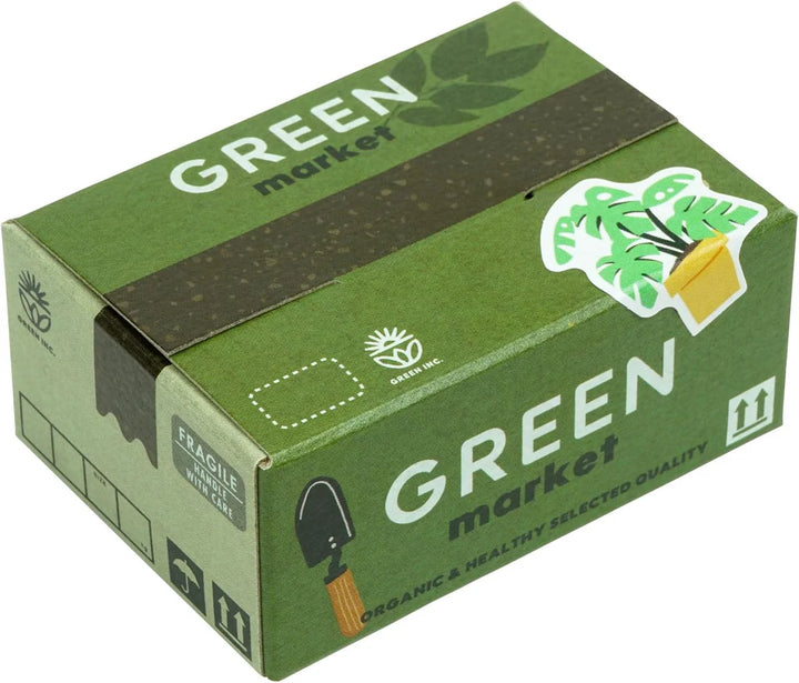 Green Plants Stickers in a Box