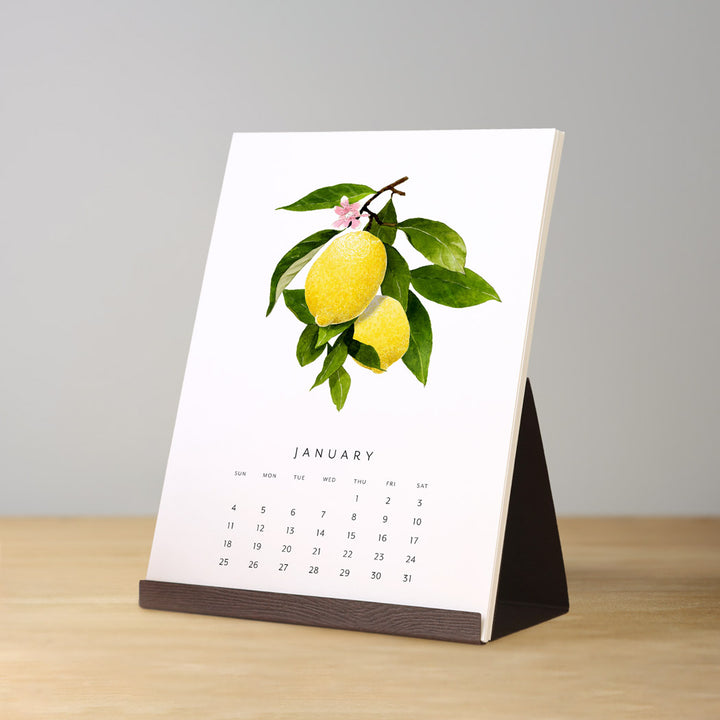 Fresh Fruit | 2026 Desk Calendar