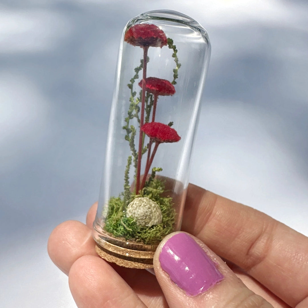 CA Studio Red Mushroom Fields Mini Glass Terrarium