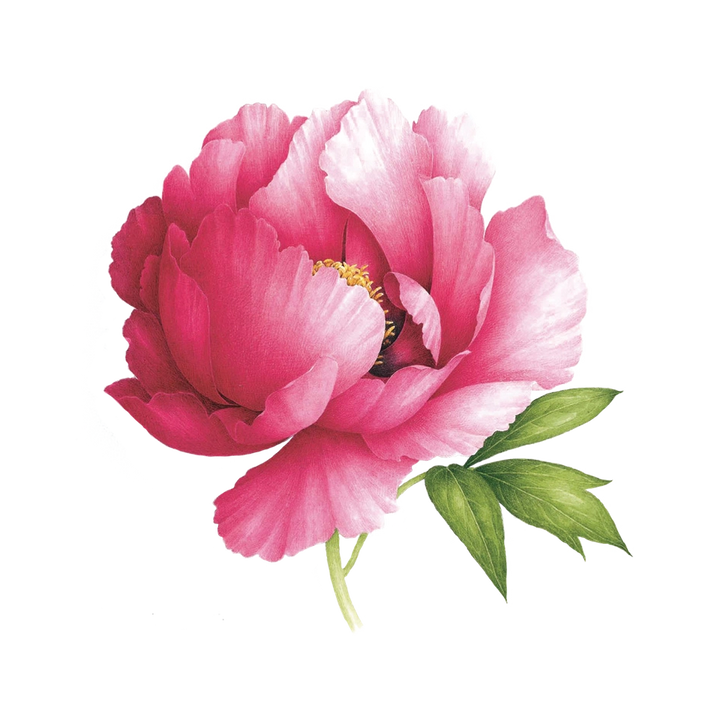 Pink Peony | Scented Temporary Tattoo Pair