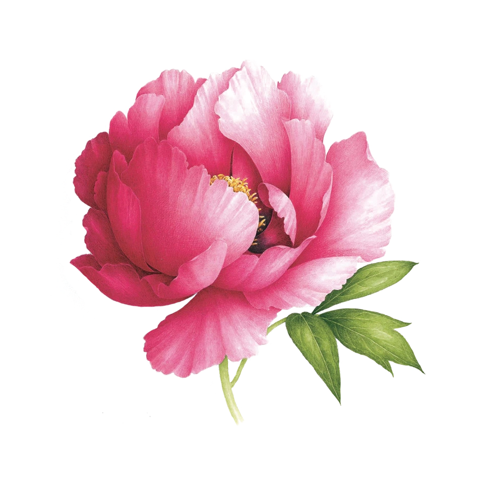 Pink Peony | Scented Temporary Tattoo Pair