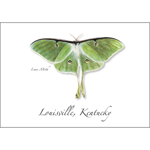 Luna Moth | Greeting Card