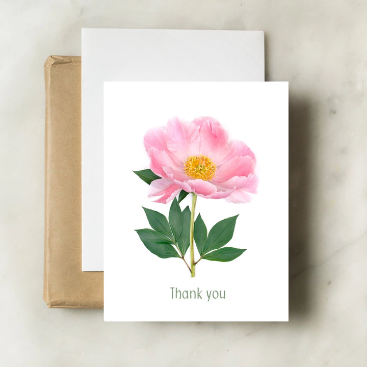 Peony Thank You | Greeting Card