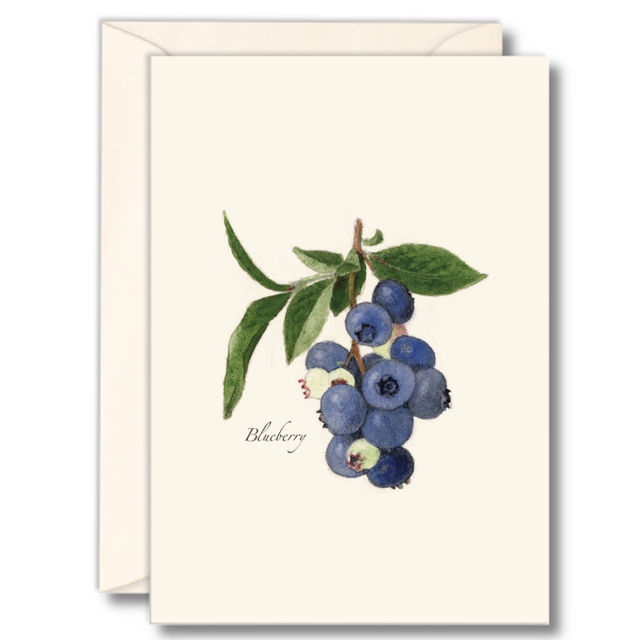 Blueberry | 8 Card Set
