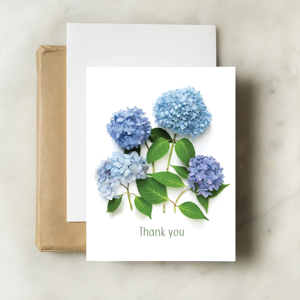 Hydrangea Thank You | Greeting Card