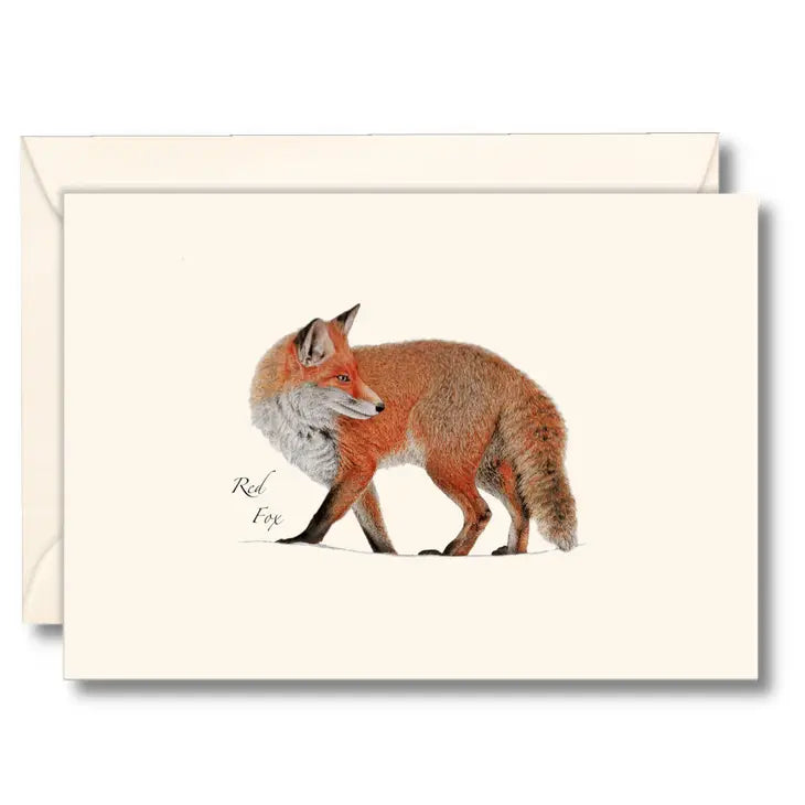 Red Fox | 8 Card Set