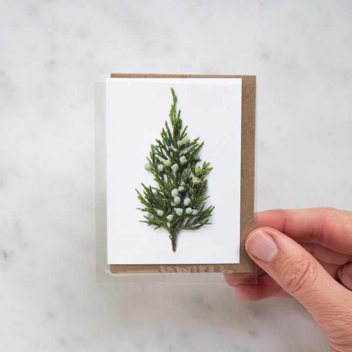Tiny Tree Holiday Enclosure Card