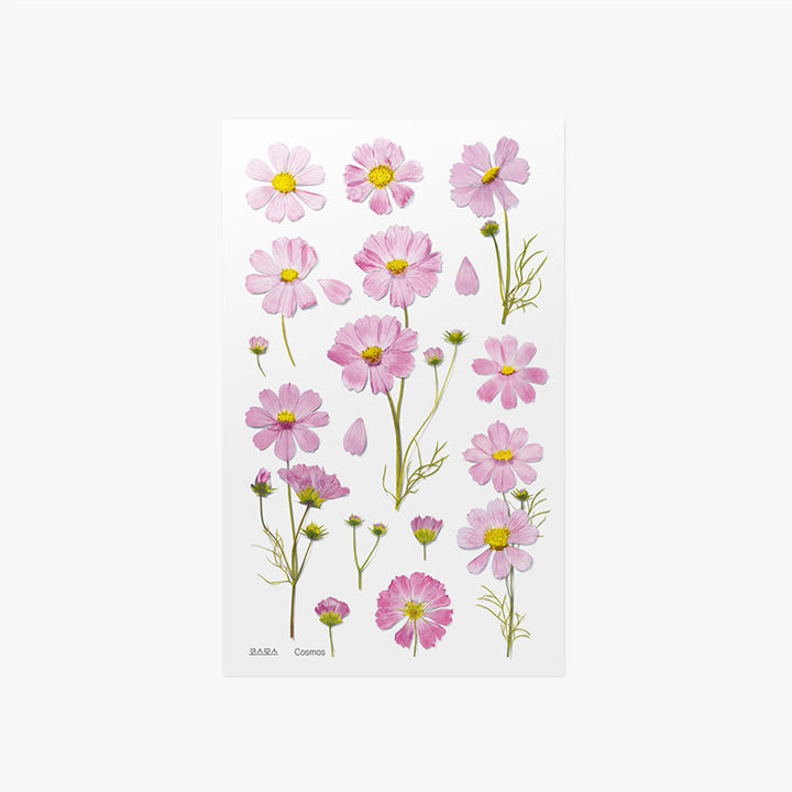 Cosmos | Pressed Flower Sticker