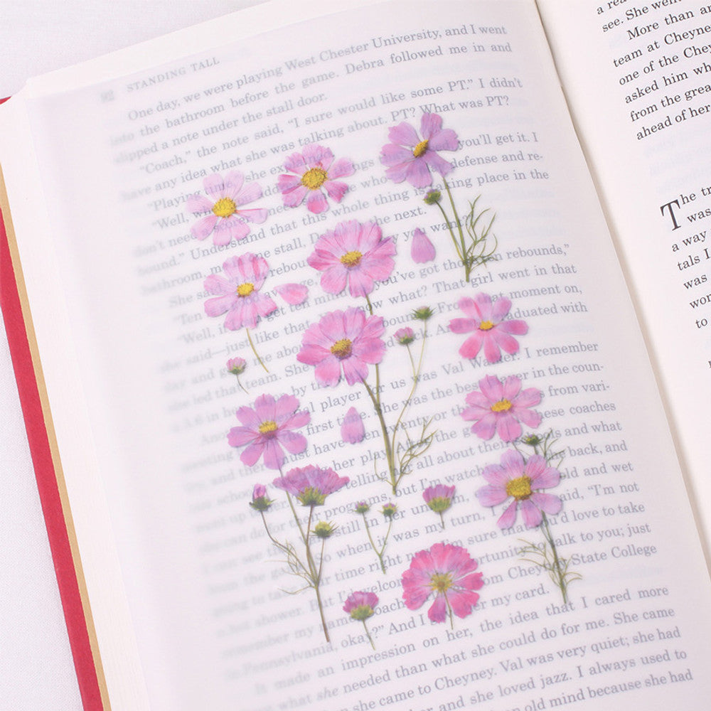 Cosmos | Pressed Flower Sticker