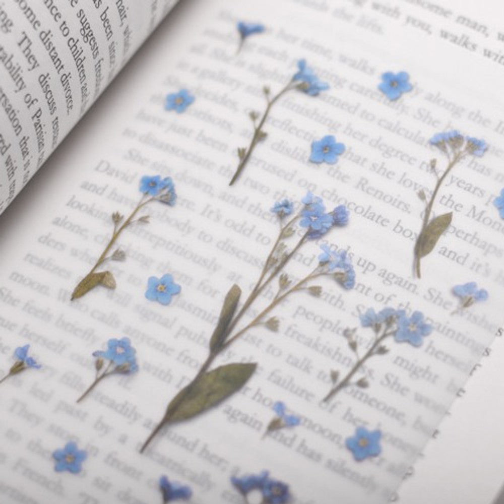 Forget Me Not | Pressed Flower Sticker