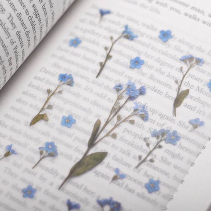 Forget Me Not | Pressed Flower Sticker