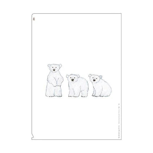 Polar Bear 3 Pocket Clear Folder | A4