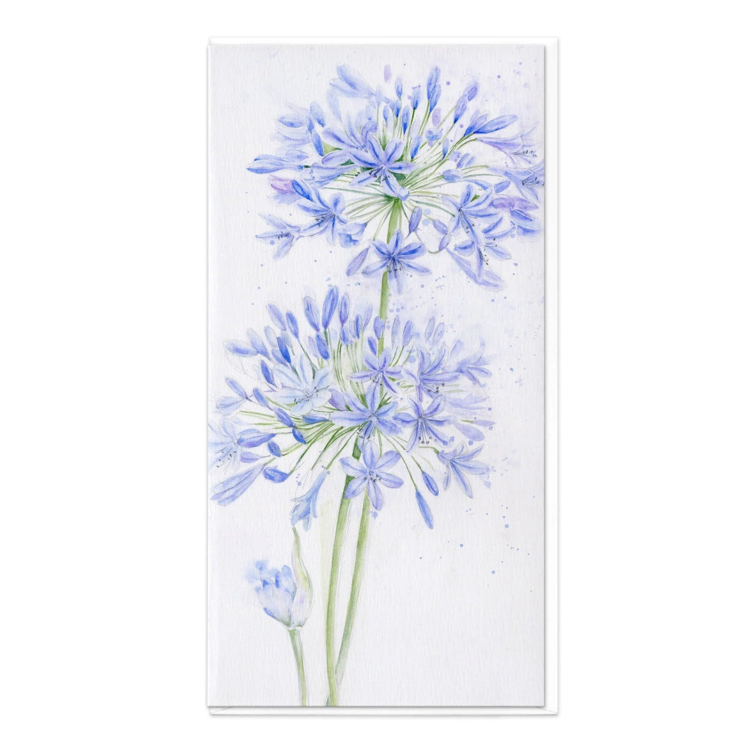 Agapanthus | Greeting Card