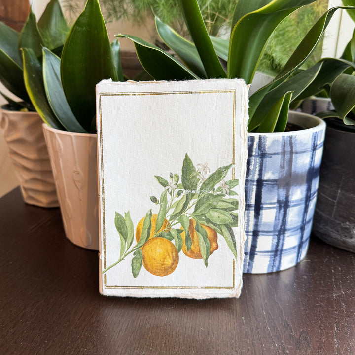 Lemon Stem Parchment Paper A6 Notebook