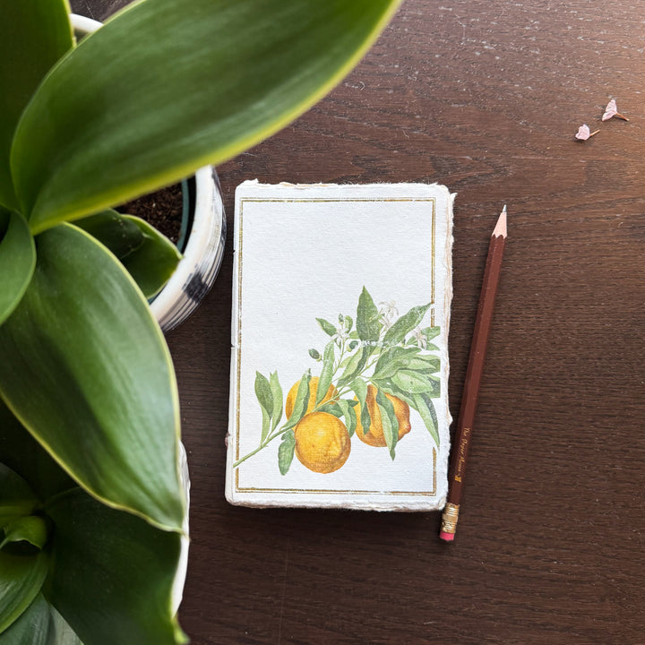 Lemon Stem Parchment Paper A6 Notebook