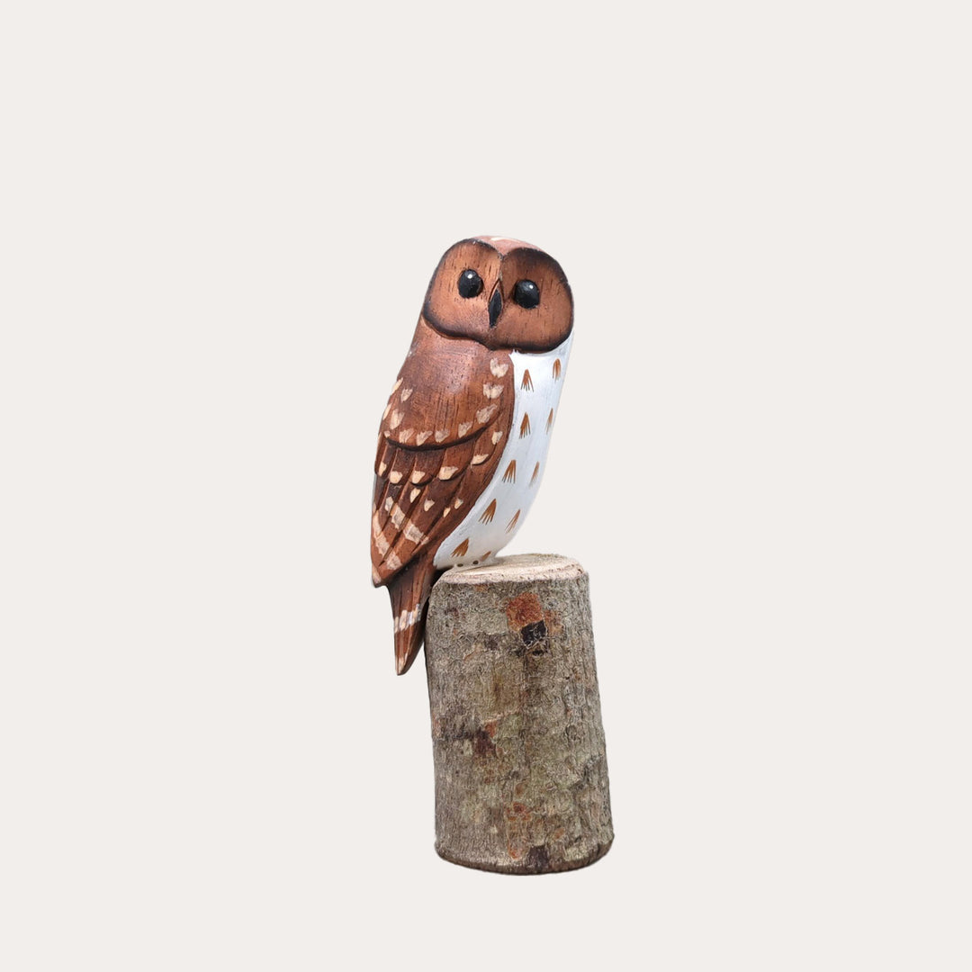 Mini Barred Owl