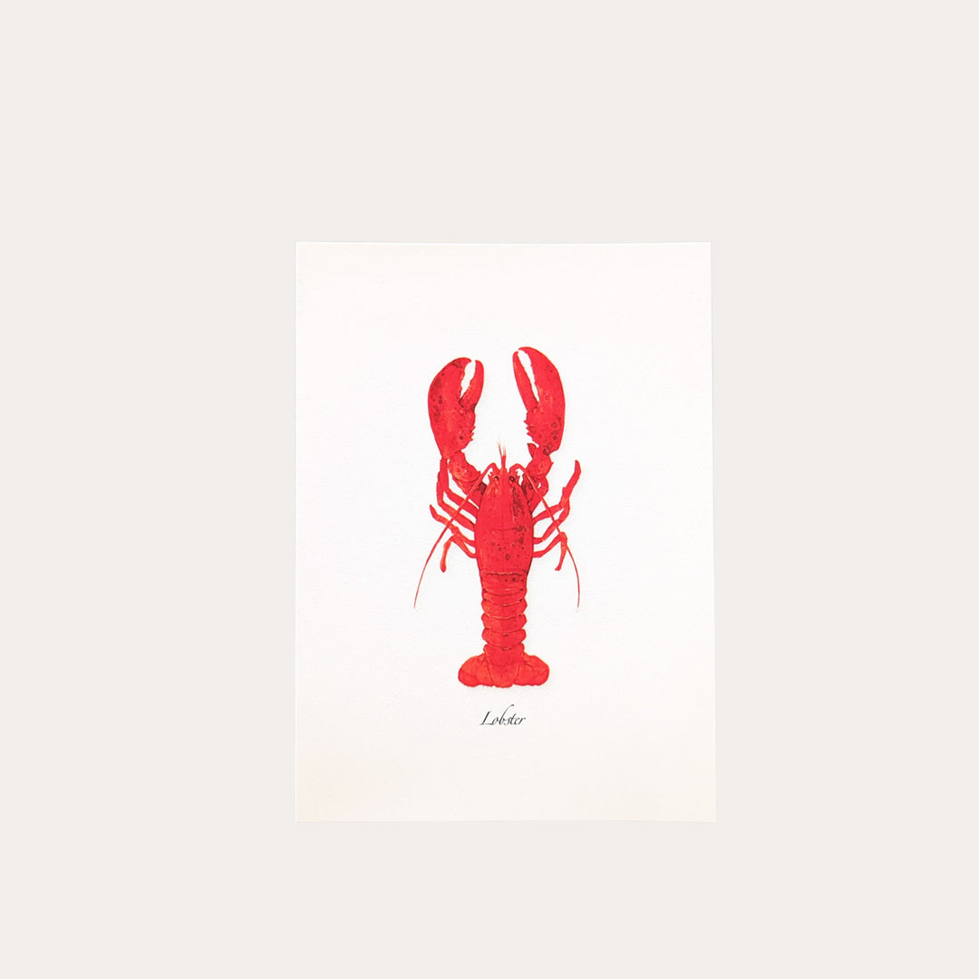 Lobster | Assorted 8 Card Set