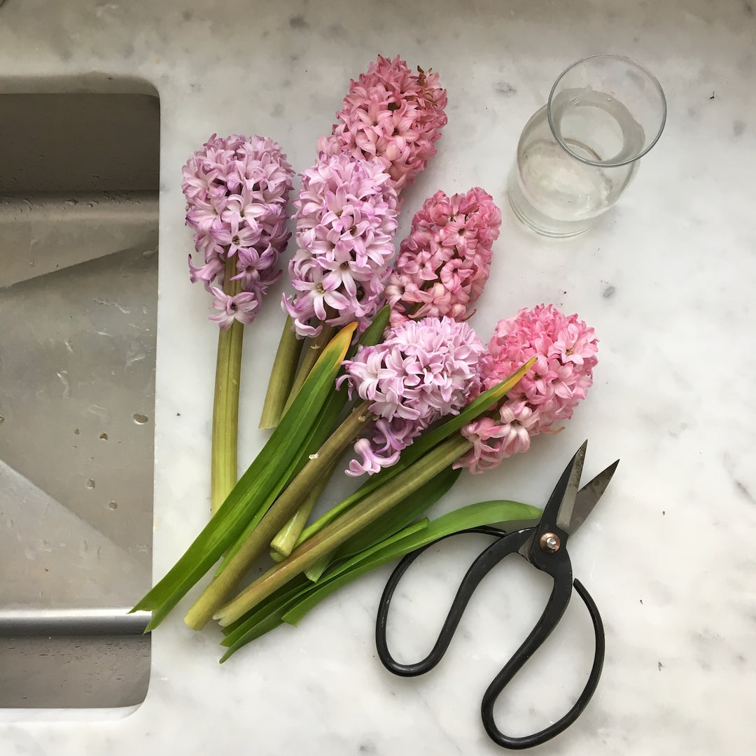 The Art of the Botanical Flat Lay | Spring Flowers