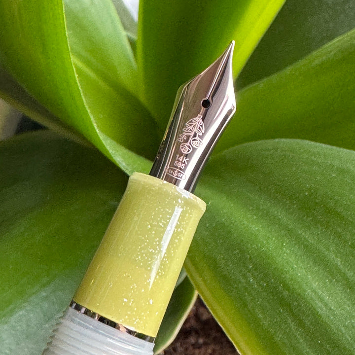 Pro Gear Slim Dried Flower 2 Fountain Pen | Eucalyptus | Limited Edition