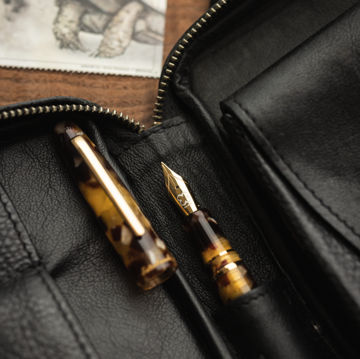 Estie Fountain Pen | Tortoise