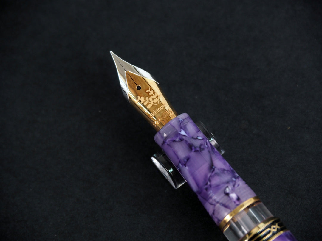 Lichtope x Fine Writing International Fountain Pen | PLE4 | Limited Edition