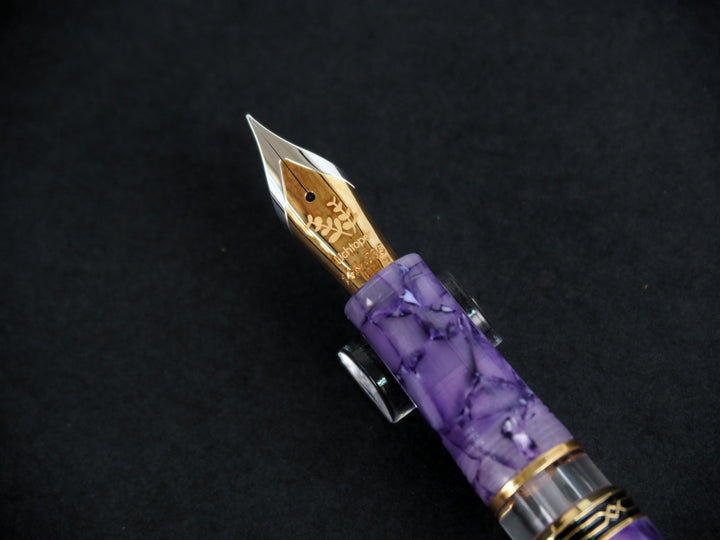 Lichtope x Fine Writing International Fountain Pen | PLE4 | Limited Edition