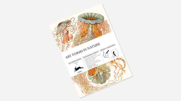 Art Forms In Nature | Gift and Creative Papers
