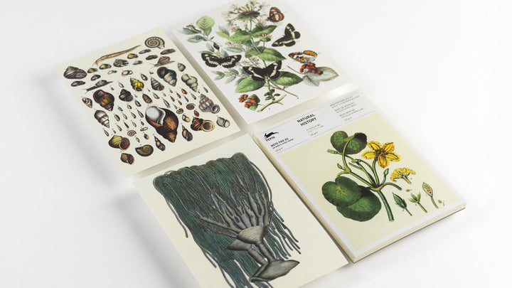 Natural History Writing Paper Pad | A5