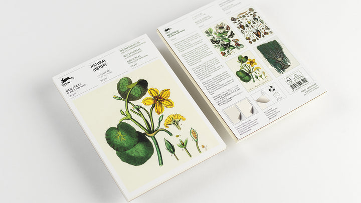 Natural History Writing Paper Pad | A5