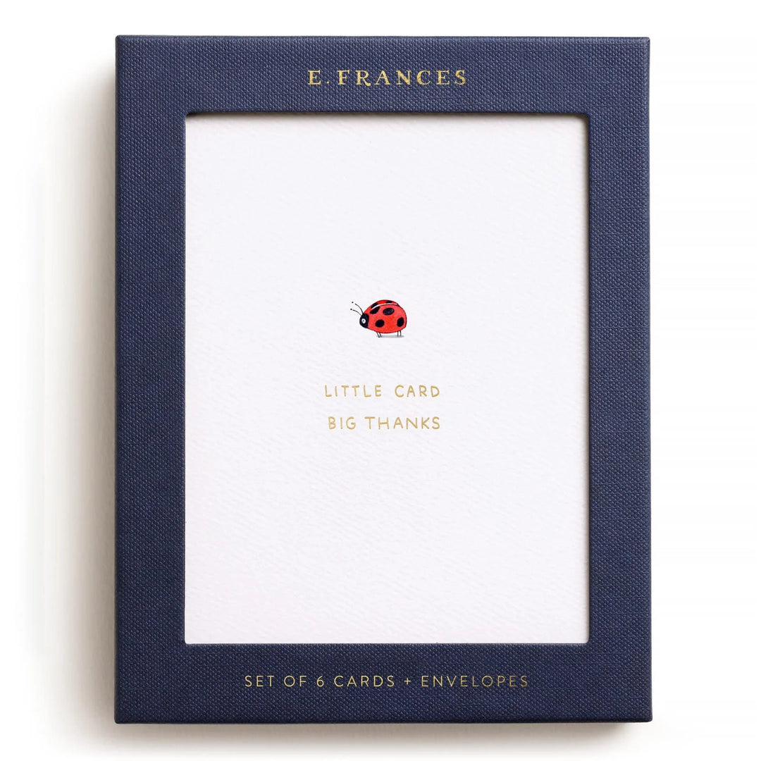 Little Card Big Thanks |  6 Cards Set
