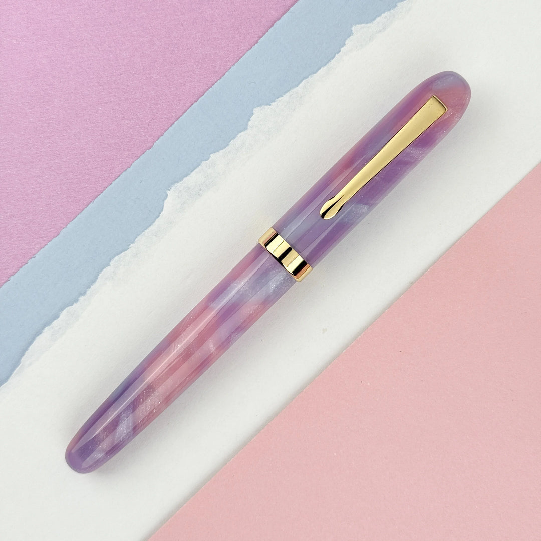 A Dream within a Dream Literature Preface Fountain Pen