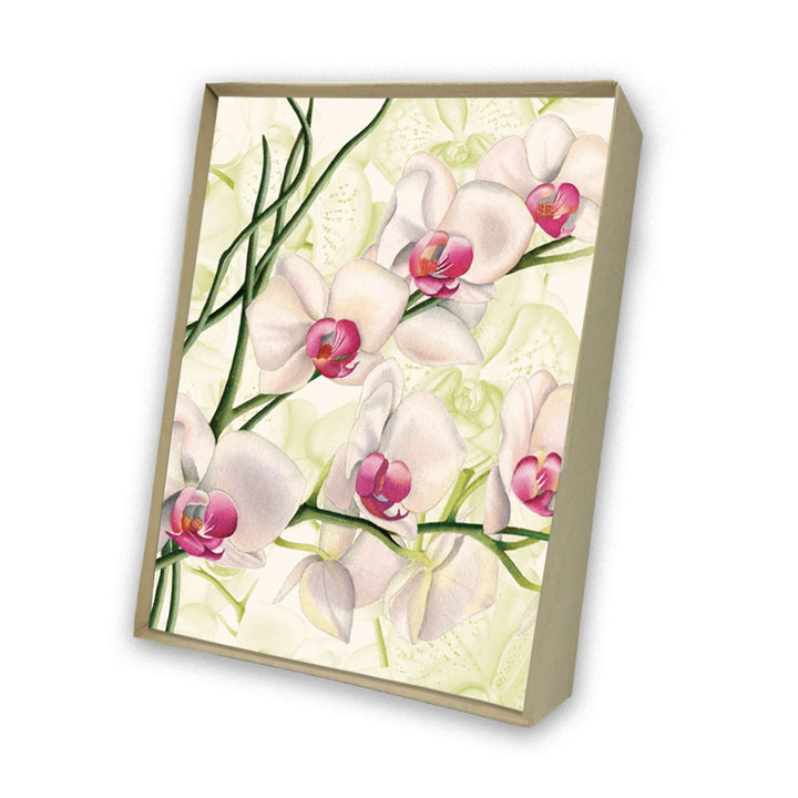 Orchids | 8 Card Set