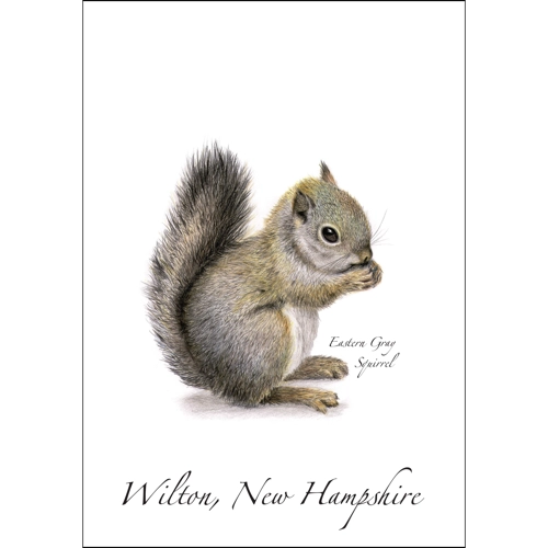 Gray Squirrel | Greeting Card