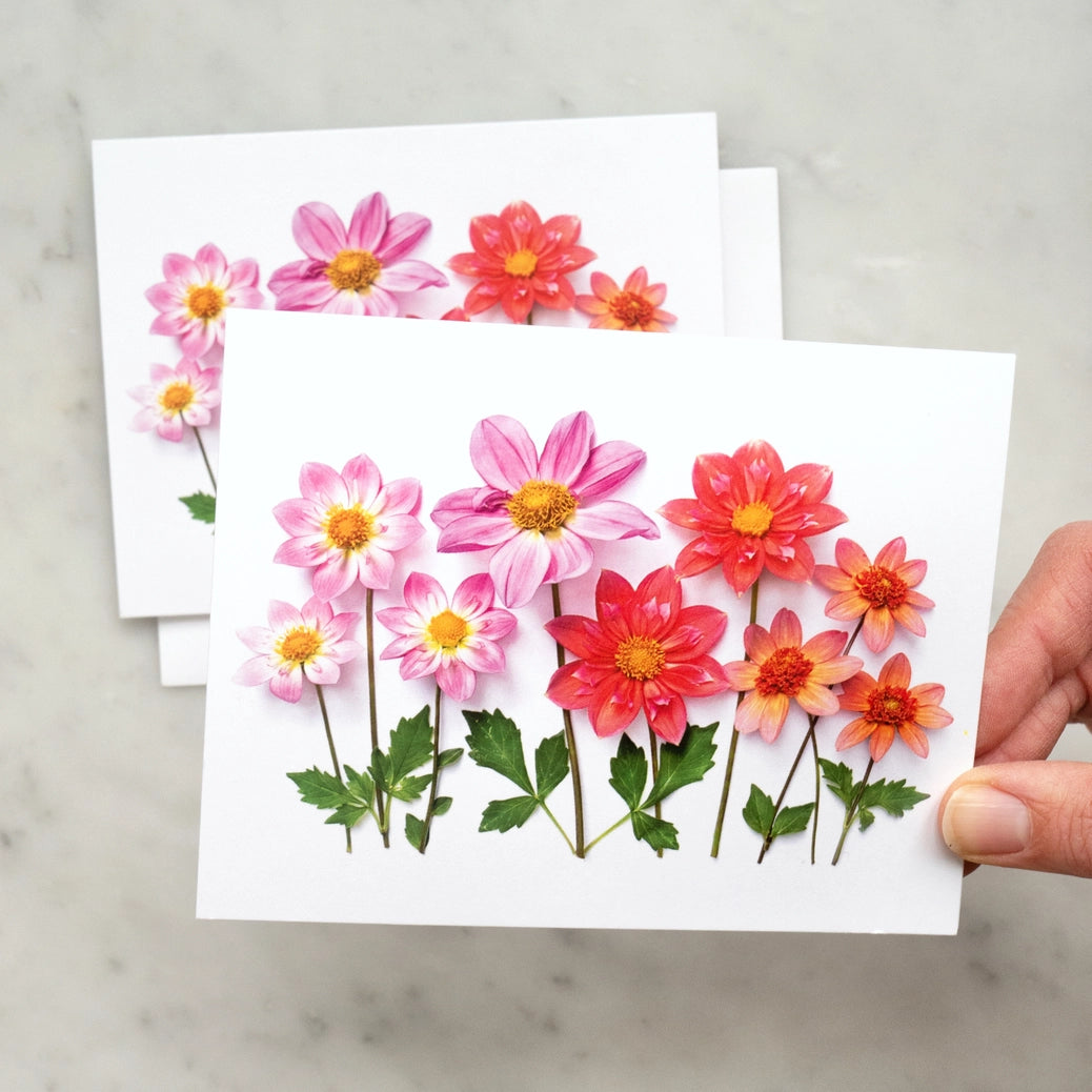 Dahlias | Greeting Card