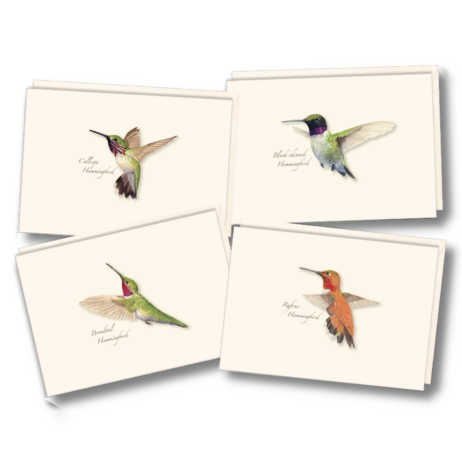 Western Hummingbird | Assorted 8 Card Set